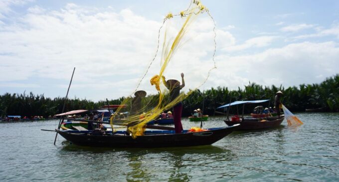 Basket Boat at Coconut Village, Kitchen Show and Big Lunch - Picking Up and Dropping Off