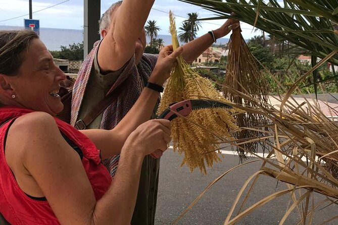 Basket Weaving From Palm Brooms in La Gomera - Inclusions and Amenities