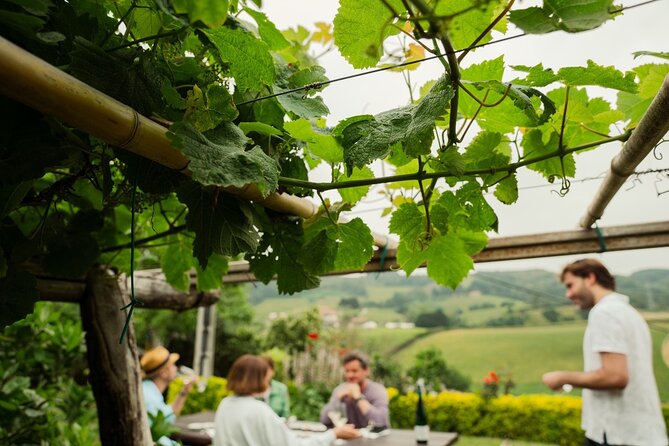 BASQUE CHEESE and TXAKOLI WINE - Private Gastronomic Adventure - Inclusions