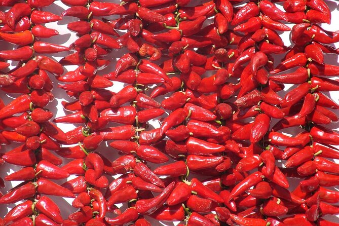 Basque Country Food Tour - Highlights of the Tour