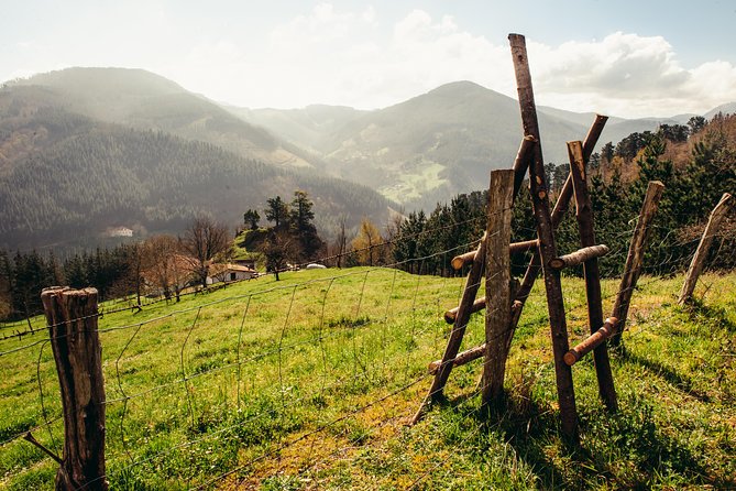 Basque Farm House & Cider House Tour + Meal From San Sebastian - Transportation and Accessibility Details