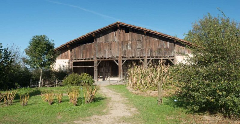 Basque Press Farm and Traditional Cider House With Transport - Visiting the Press Farm-House