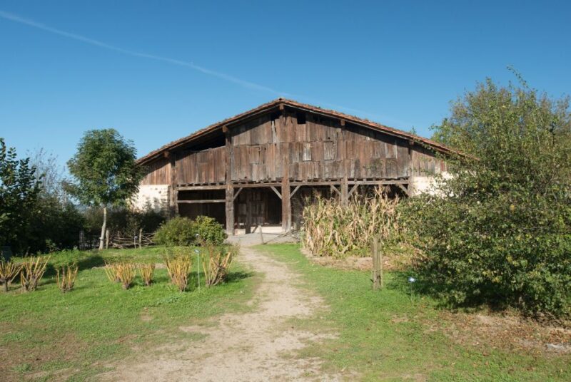 Basque Press Farm and Traditional Cider House With Transport - Tasting Local Apple Juice and Cider