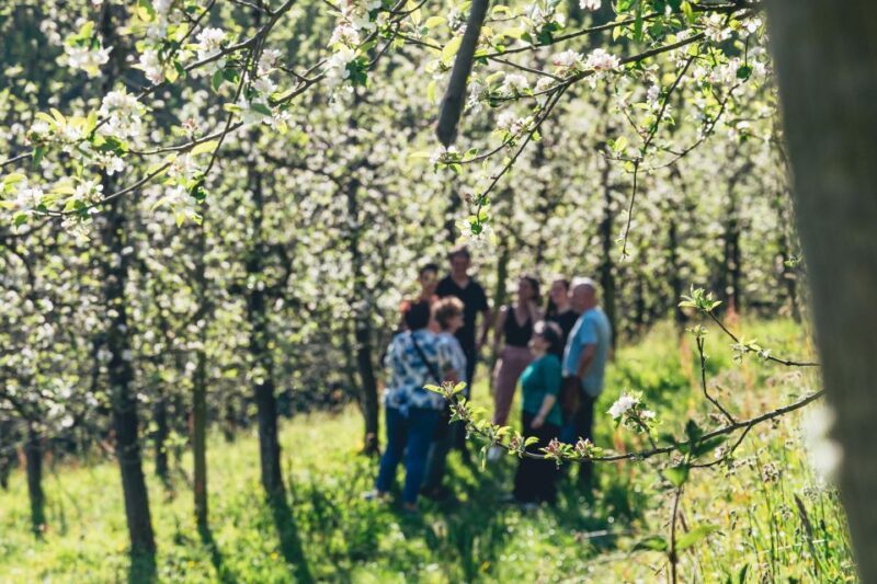 Basque Press Farm and Traditional Cider House With Transport - Savoring a Traditional Cider House Lunch