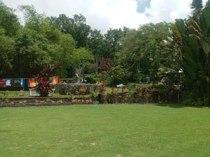 Basseterre Half Day Tour Group - Romney Manor