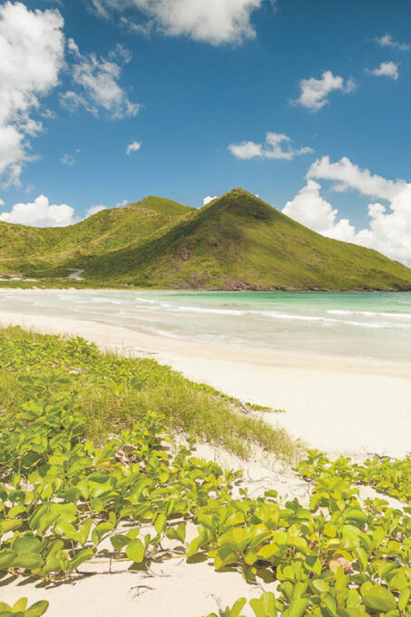 Basseterre: Highlights Capital and Beach Tour - Tour Inclusions