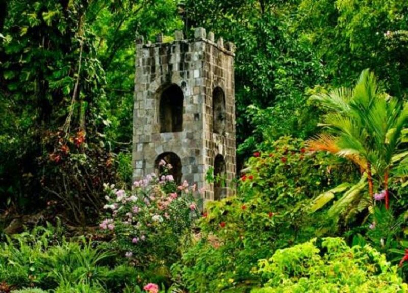 Basseterre: Plantation and Beach Extravaganza - Key Points