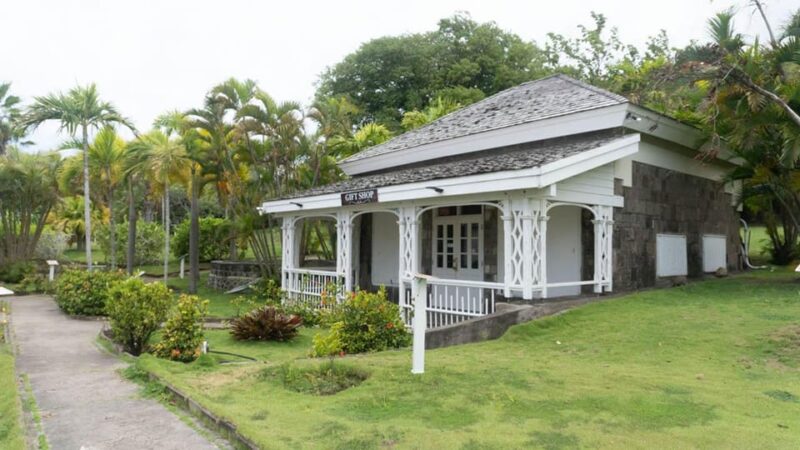 Basseterre Plantation Half Day Tour - Sir Timothy Hill Views