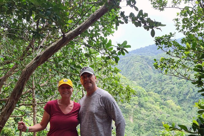 Basseterre Rainforest Hike - Wildlife and Vegetation