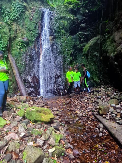 Basseterre Rainforest Hike - Safety Considerations