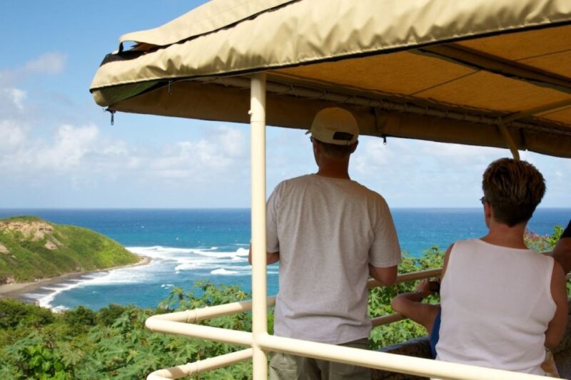 Basseterre: St. Kitts Scenic Railway Day Trip With Drinks - Accessibility and Suitability