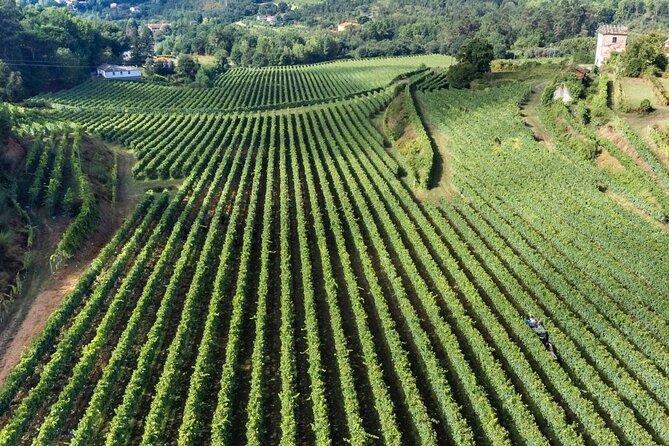 Basto Adventure Wine Tour - Savoring the Wines