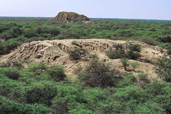 Batan Grande Archeological Site and Sicán National Museum Tour From Chiclayo - Guest Reviews and Recommendations