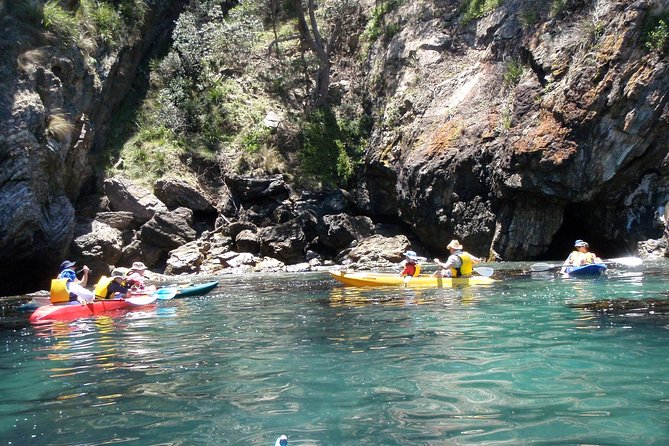 Batemans Bay Glass-Bottom Kayak Tour Over 2 Relaxing Hours - Activity Highlights