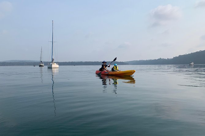 Batemans Bay Glass-Bottom Kayak Tour Over 2 Relaxing Hours - Meeting Details