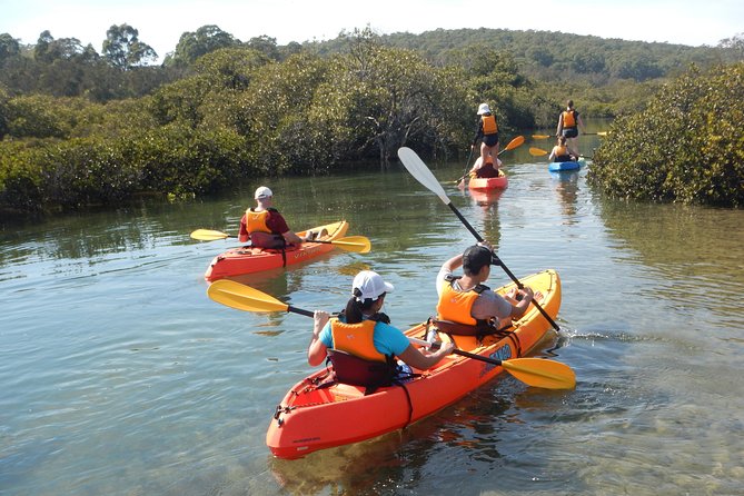 Batemans Bay Glass-Bottom Kayak Tour Over 2 Relaxing Hours - Safety and Accessibility