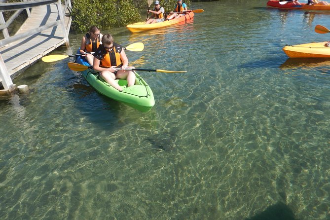 Batemans Bay Glass-Bottom Kayak Tour Over 2 Relaxing Hours - Refreshments Provided