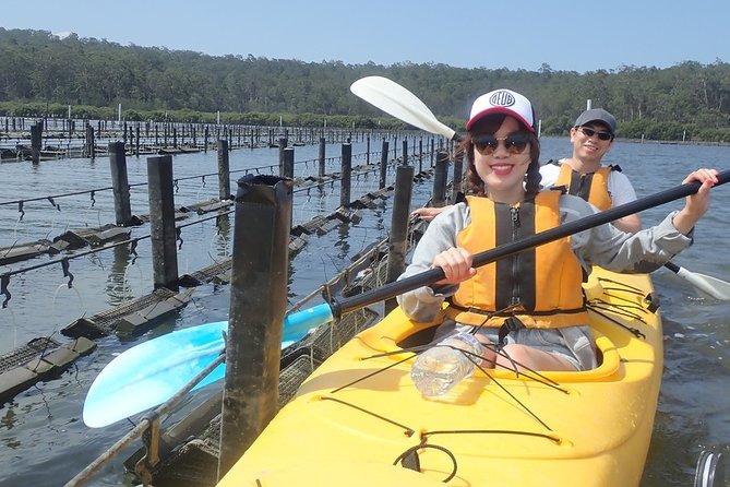 Batemans Bay Oyster Tasting Kayak Tour - Itinerary and Activities