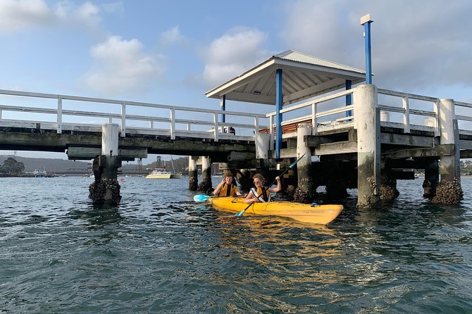 Batemans Bay Sunset Pizza Kayak Tour - Float and Feast - Insights Into Local Wildlife