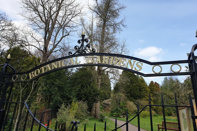Bath - (4 Hours) Extended Walking Tour - Blue Badge Guide - Discover Baths Architectural Wonders