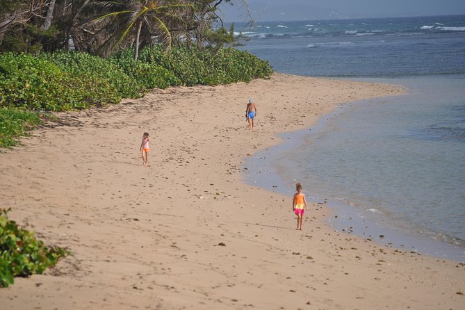Bath Beach House - Location and Meeting Point