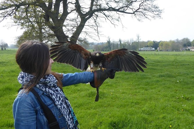 Bath City Tour & Fly a Hawk Experience - Day Tour From Bath - Historical Landmarks