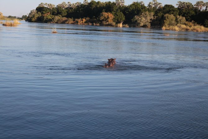 Batoka Sunset Cruise - Booking Information