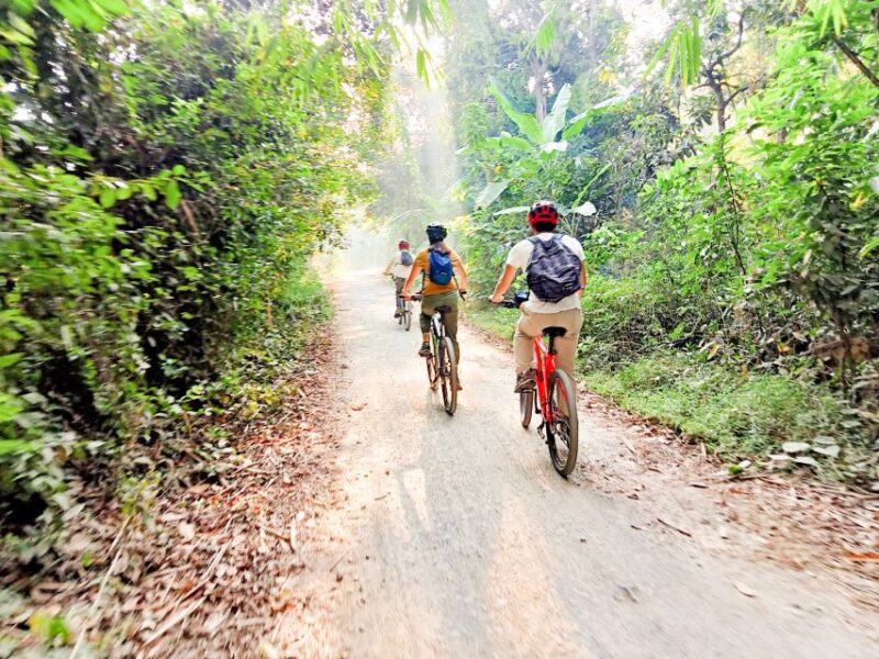 Battambang: Full-Day Countryside Cycling Tour With Lunch - Good To Know