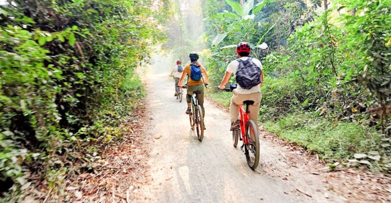Battambang: Full-Day Countryside Cycling Tour With Lunch - Itinerary Highlights