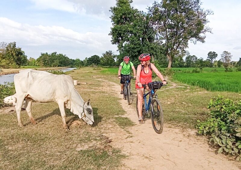 Battambang: Full-Day Countryside Cycling Tour With Lunch - Inclusions