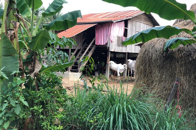 Battambang Private Afternoon Tour Bamboo Train Bat Cave & Village - Pickup Details