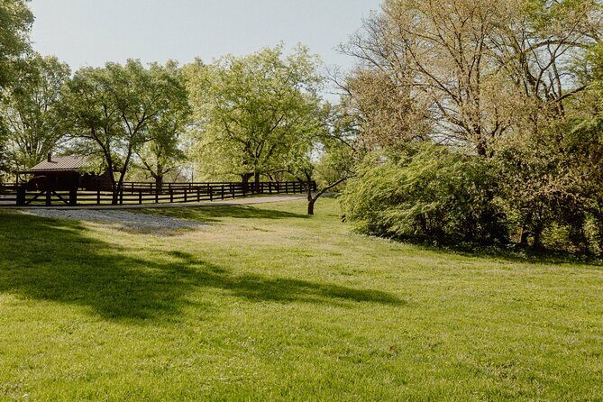 Battle at Belle Meade Civil War Tour & Complimentary Wine Tasting - The Sum Up: Who Should Consider This Tour?