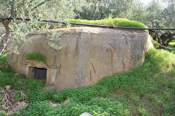 Battle of Crete Full Day Private Tour in Chania - Transportation and Accessibility