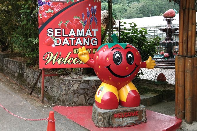 Batu Caves and Genting Highland Tour - Pickup and Accessibility