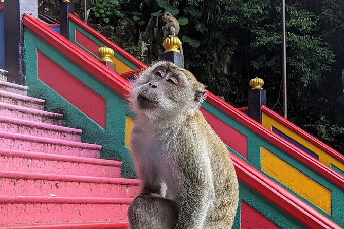 Batu Caves, Waterfalls and Hot Springs Tour With Lunch - Exclusions
