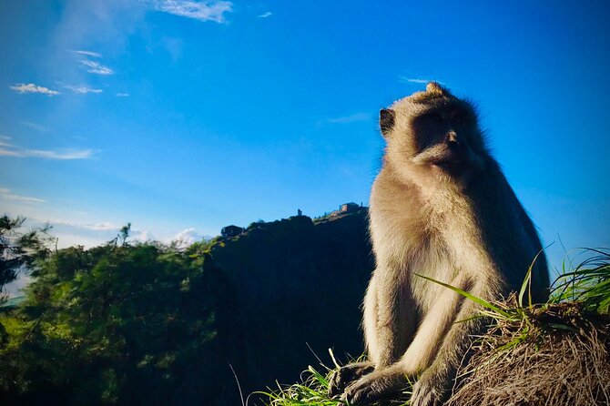 Batur Trekking Sunrise With Breakfast - Key Points