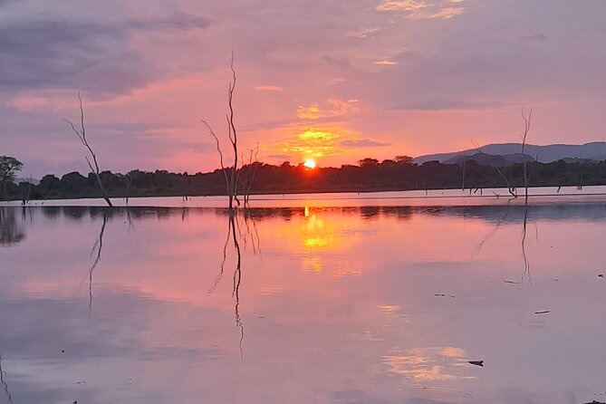 Batus Wild Safari Udawalawe - Booking and Cancellation