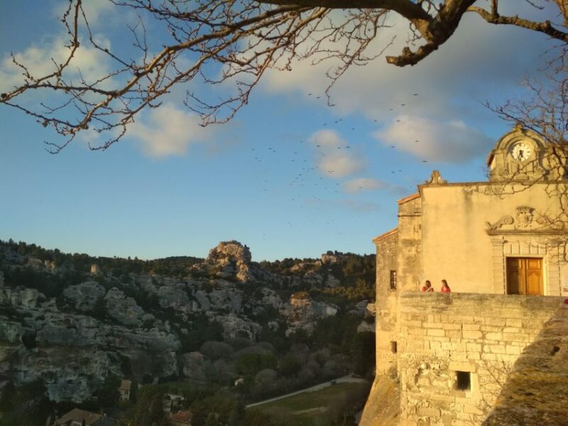 Baux and Saint Rémy De Provence: History, Wine, and Landscapes - Indulging in Local Wine Tastings
