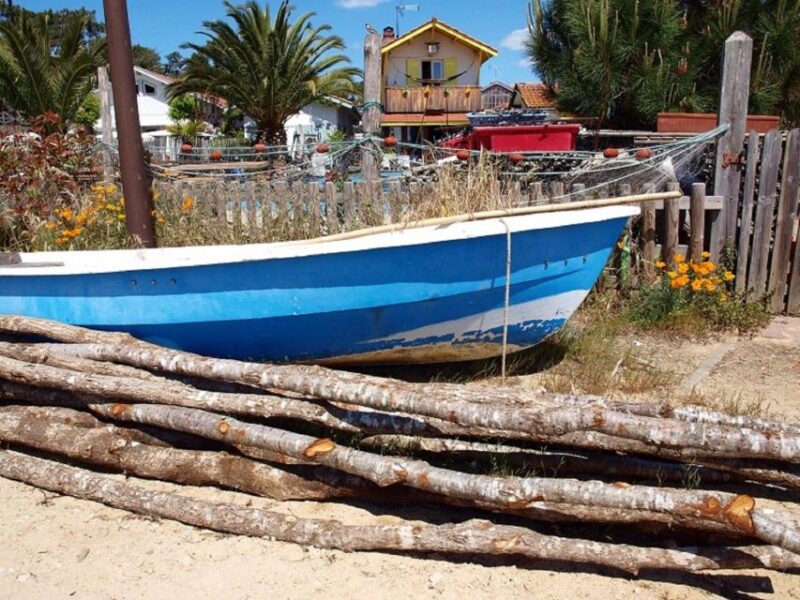 Bay of Arcachon: Guided Food Tour - Highlights