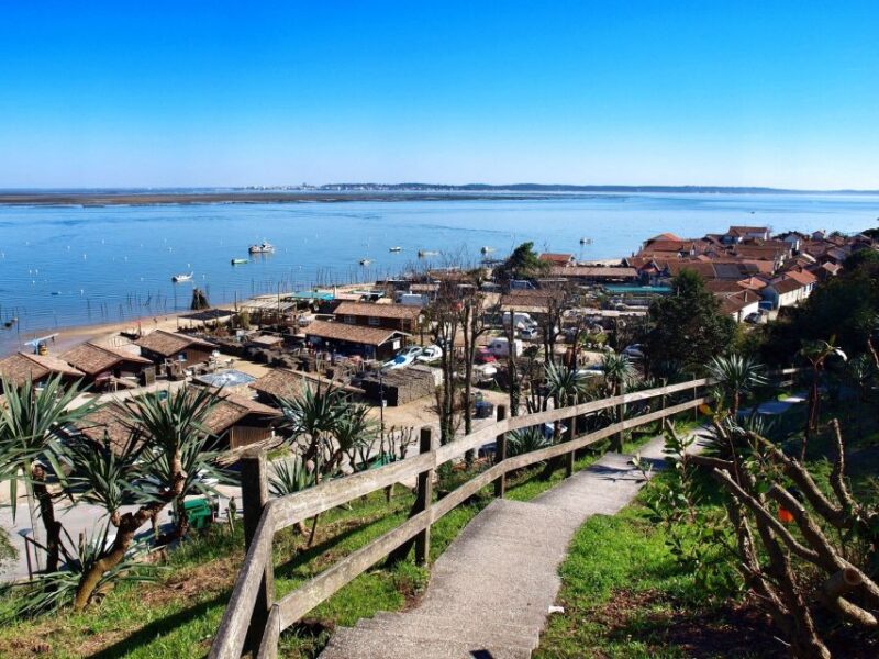 Bay of Arcachon: Guided Food Tour - Practical Information