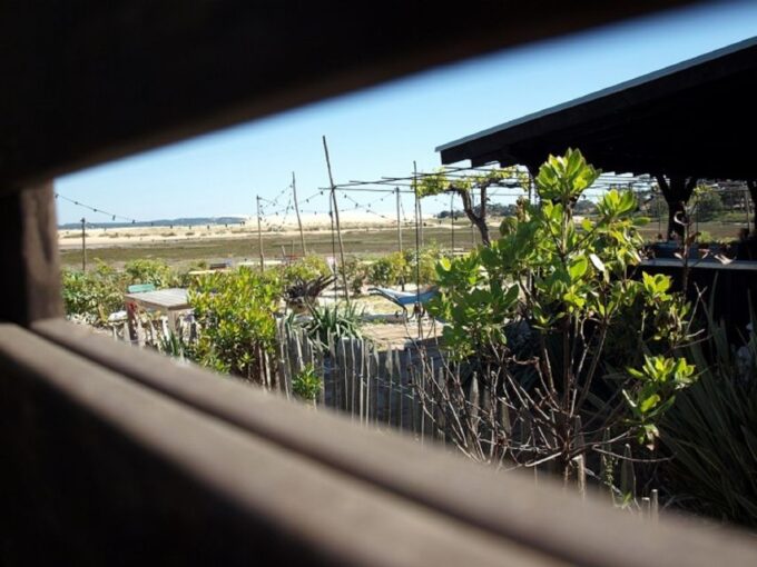Bay of Arcachon: Guided Food Tour - Secret Places and Oyster Farm