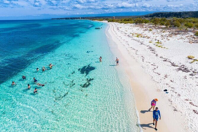 Bay of Eagles VIP : Full Day to Paradise From Santo Domingo - Discovering the Bay of Eagles VIP: A Luxe Day in Paradise from Santo Domingo