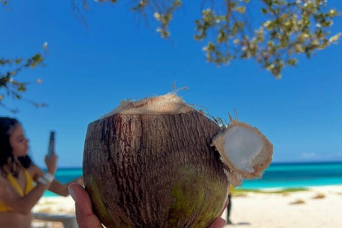 Bay of Eagles VIP : Full Day to Paradise From Santo Domingo - Authentic Experiences and Traveler Feedback