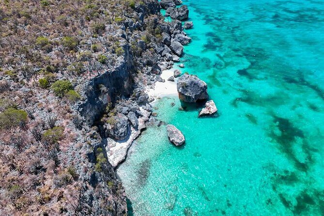 Bay of Eagles VIP : Full Day to Paradise From Santo Domingo - The Sum Up