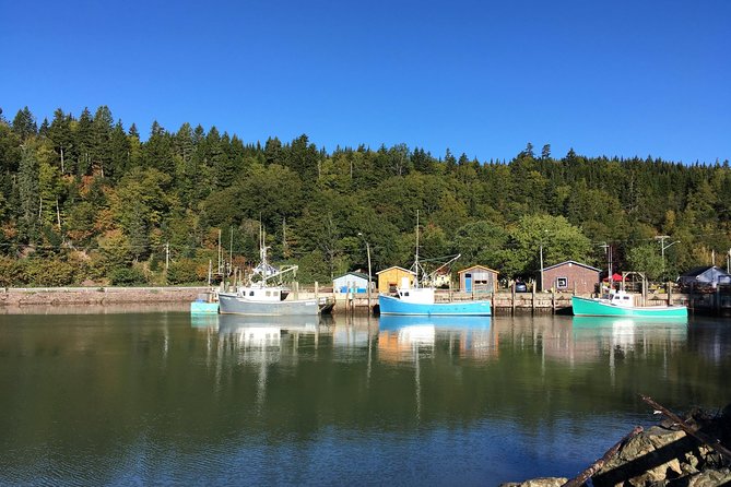 Bay of Fundy Tour by Bus - Key Highlights of the Tour