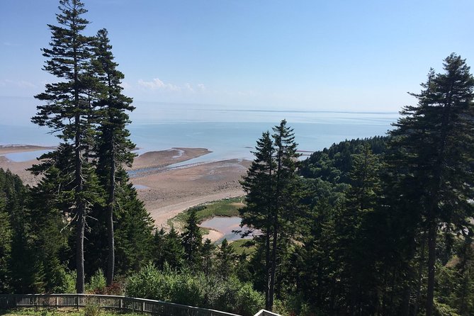 Bay of Fundy Tour by Bus - Additional Tour Information