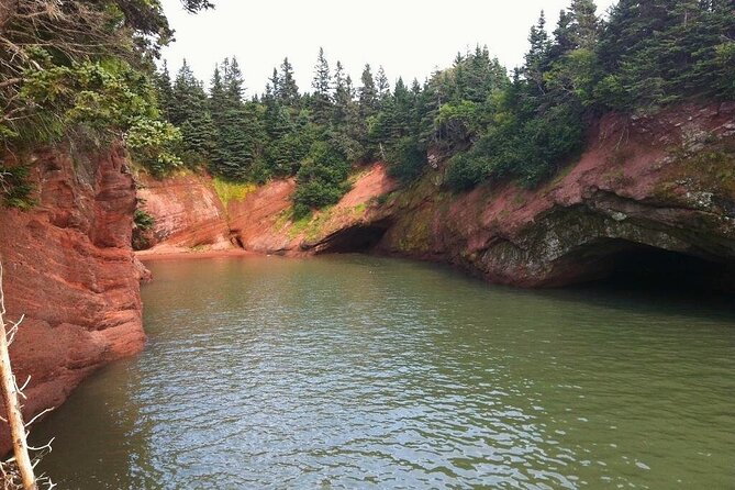 Bay of Fundy Tour in Luxury Car - Tour Exclusivity
