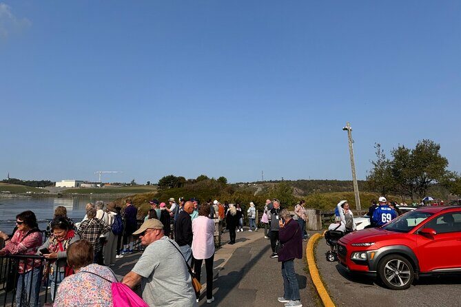 Bay of Fundy Tour Saint John NB - The Sum Up: Who Will Love This Tour?