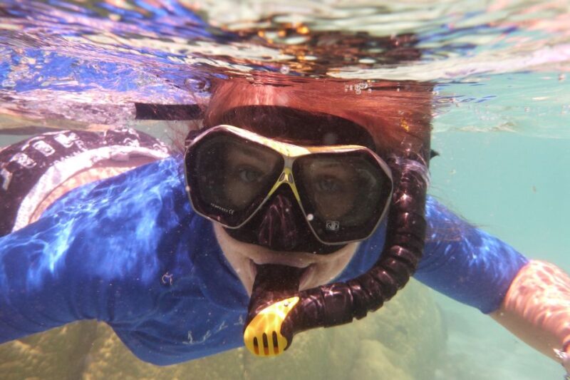 Bay of Islands: 4.5 Hour Day Cruise and Island Getaway Tour - Key Points