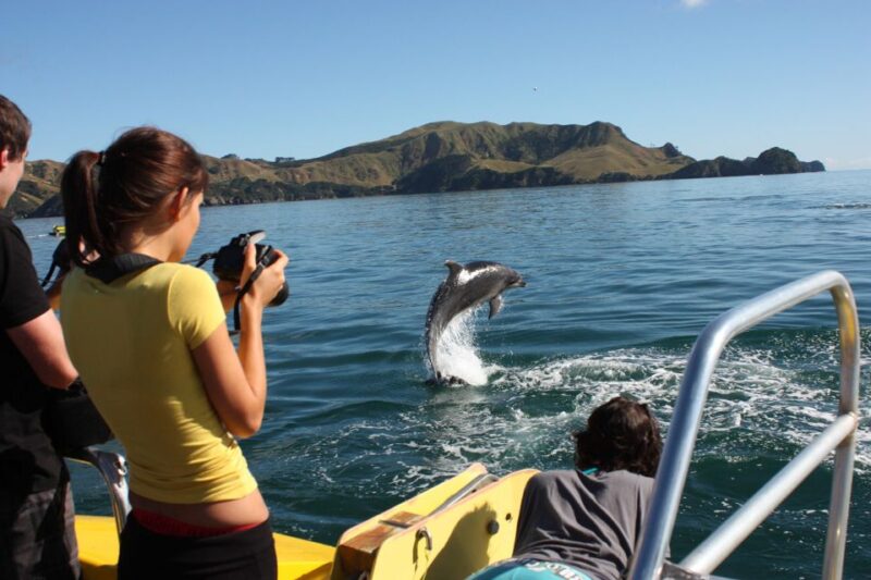 Bay of Islands: Bay Discovery Cruise With Island Stop-Over - Iconic Hole in the Rock